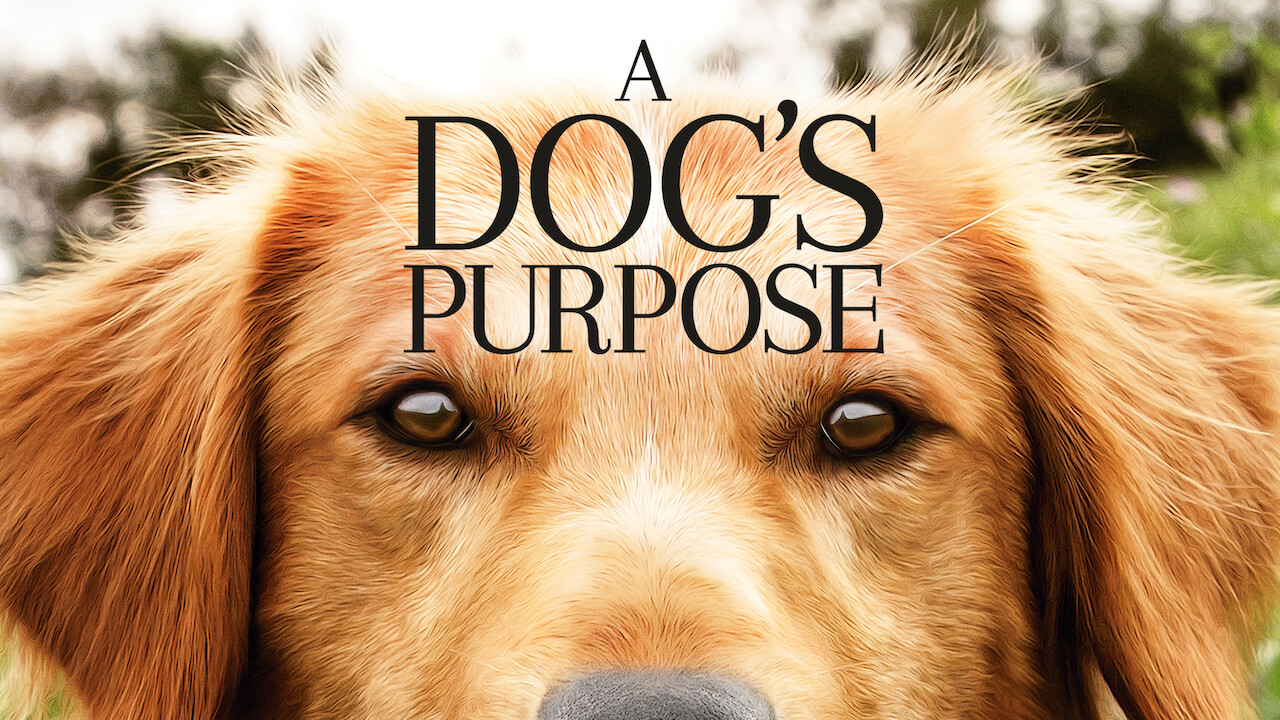 where to watch a dogs purpose where to watch a dogs purpose