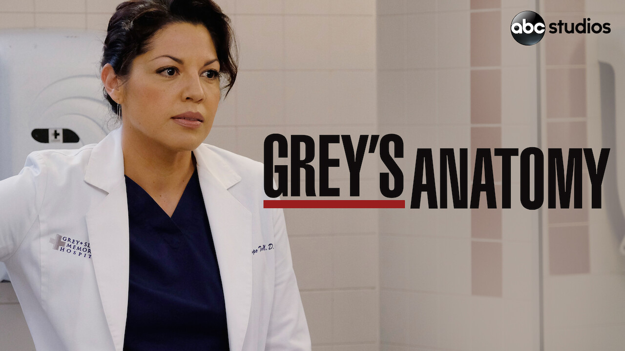 watch grey's anatomy netflix